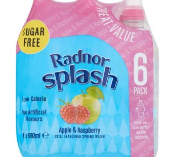Radnor Splash Apple & Raspberry Still Flavoured Spring Water 6 x 500ml